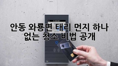 안동 와룡면 태리 먼지 하나 없는 청소, 비법 공개! ✨